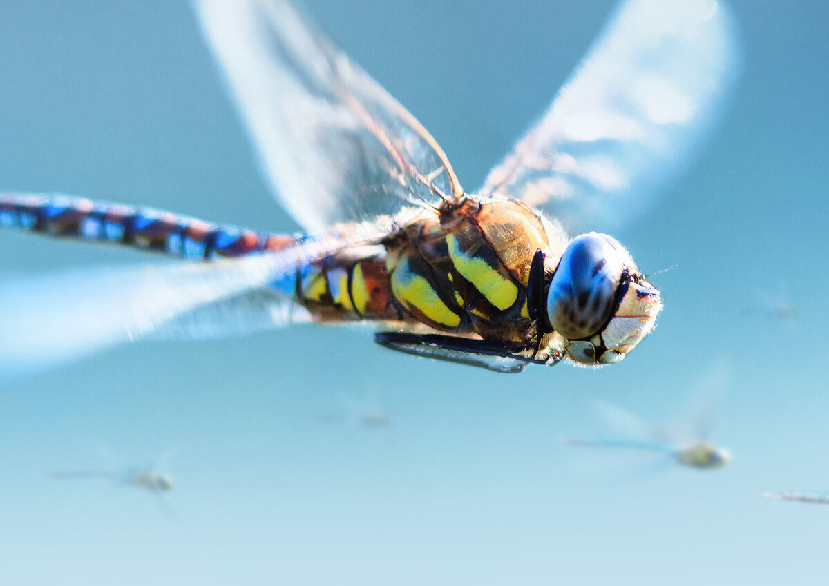 Banner Bild tus – telekommunikation und sicherheit